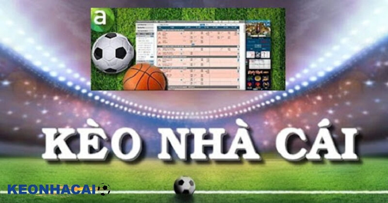 Kinh Nghiệm Nhận Định Các Kèo Cá Cược Bóng Đá Chuẩn Nhất